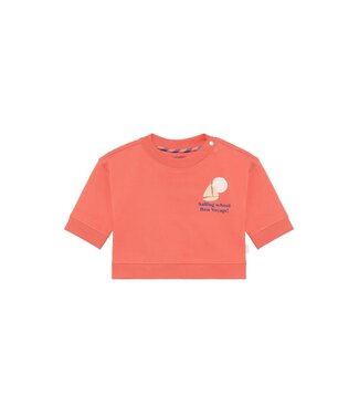 Noppies Noppies - Sweater backprint - Burnt Sienna