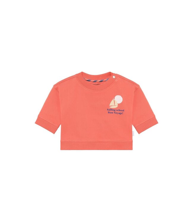 Noppies Noppies - Sweater backprint - Burnt Sienna