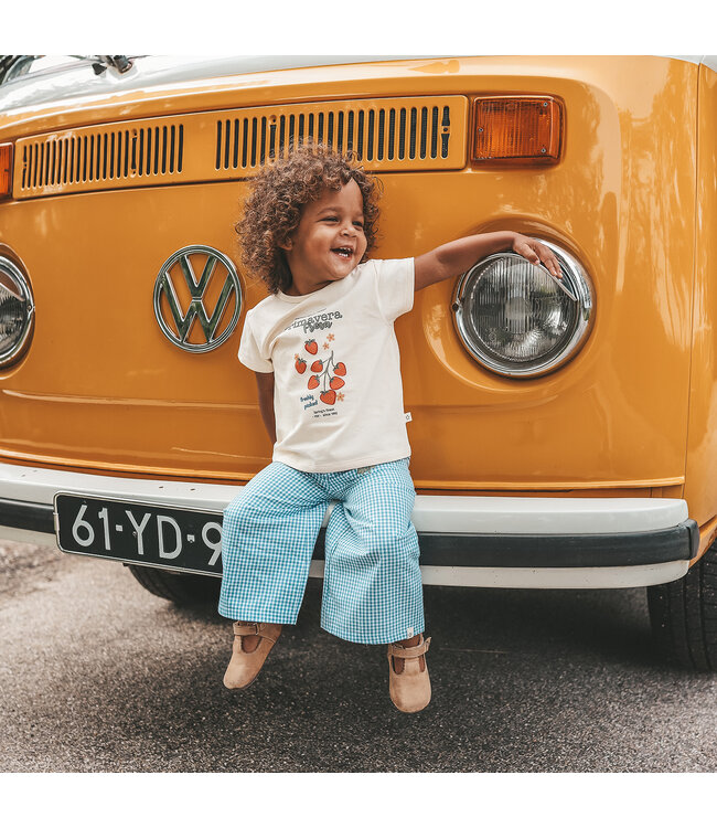 Your Wishes - Fresa shirtsleeve White swan