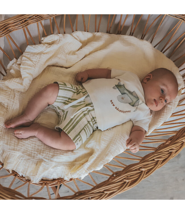 Your Wishes - Adventures Tee Birch