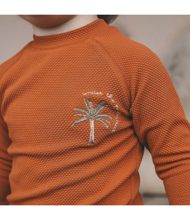 Salted stories - Solid swim long sleeve Bombay brown