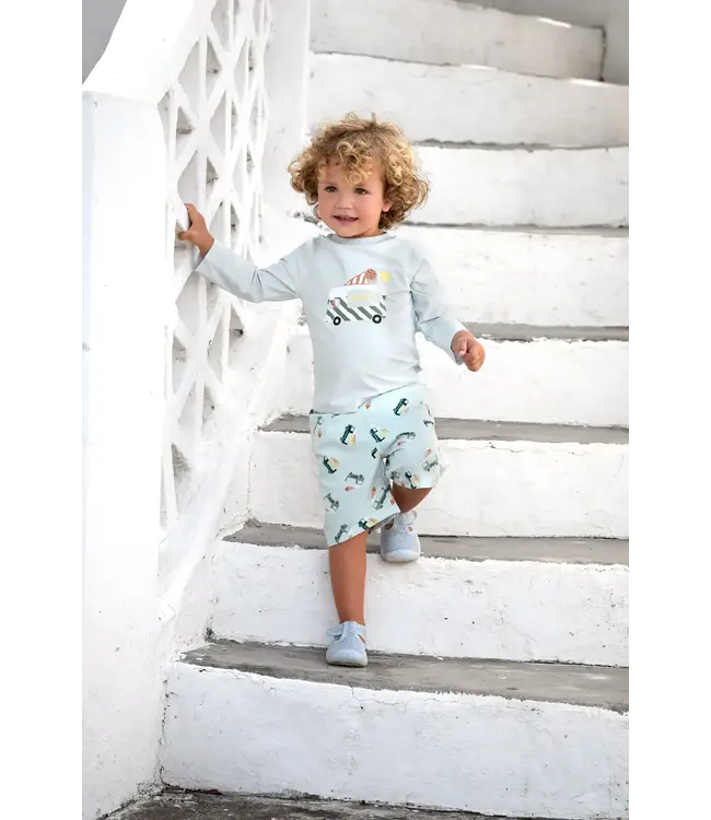 Lassig - LSF Boardie shorts Ice cream truck