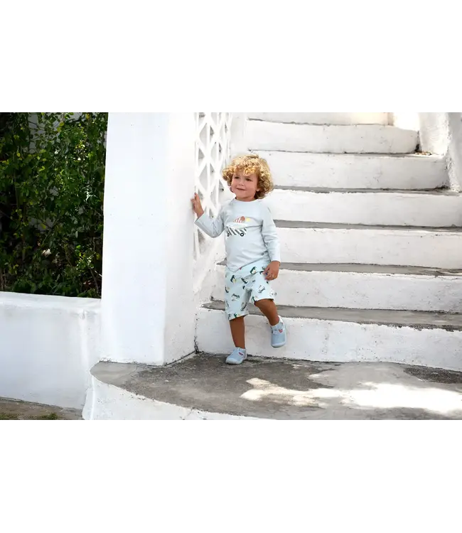 Lassig - LSF long sleeve Rashguard Ice cream truck