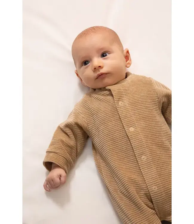 Witlof for kids - Boxpakje velvet rib Urban Taupe