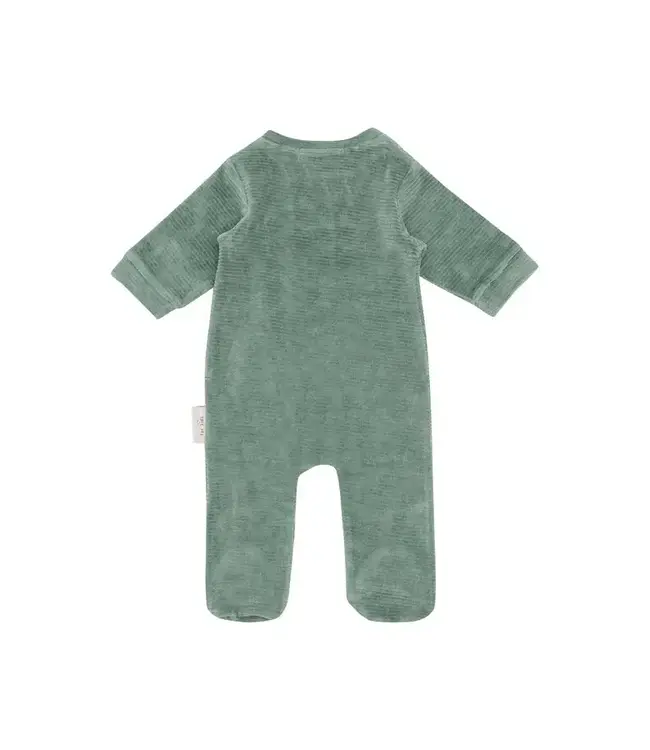 Witlof for kids - Boxpakje velvet rib Forest Green