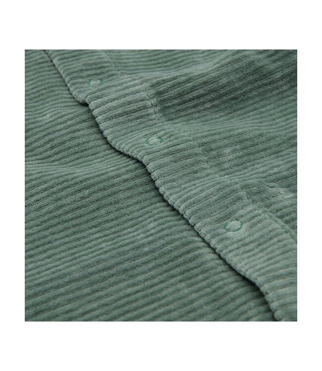 Witlof for kids - Boxpakje velvet rib Forest Green