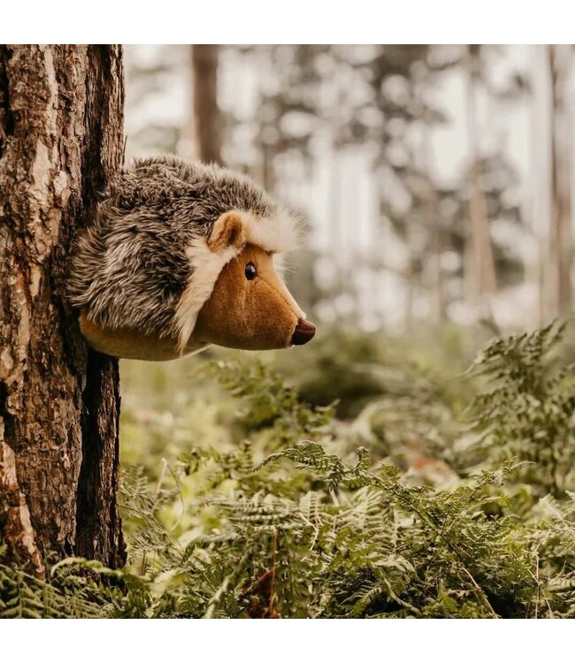 Wild and Soft - Hedgehog medium head Jenna