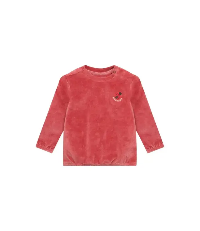 Noppies - Sweater Dusty cedar velours