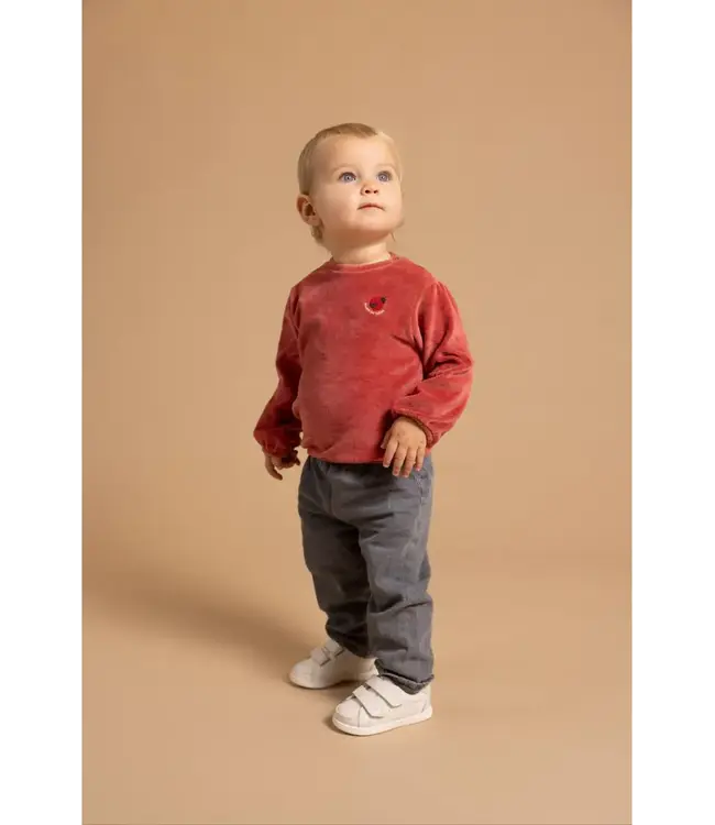 Noppies - Sweater Dusty cedar velours