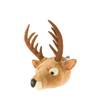 Wild and Soft Wild and Soft - Head  Dear Billy