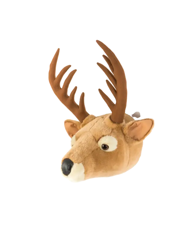 Wild and Soft Wild and Soft - Head  Dear Billy
