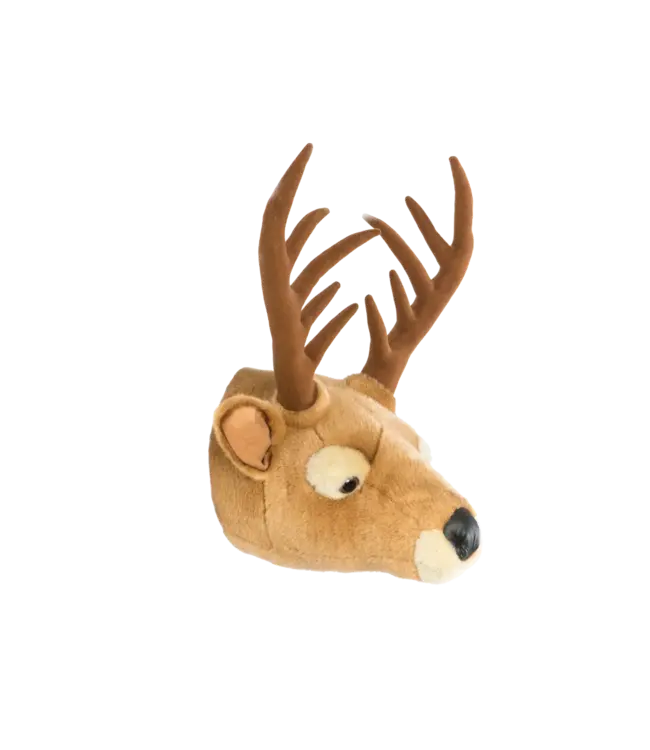 Wild and Soft - Head  Dear Billy