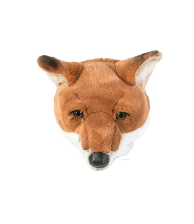Wild and Soft Wild and Soft - Head  Fox Louis