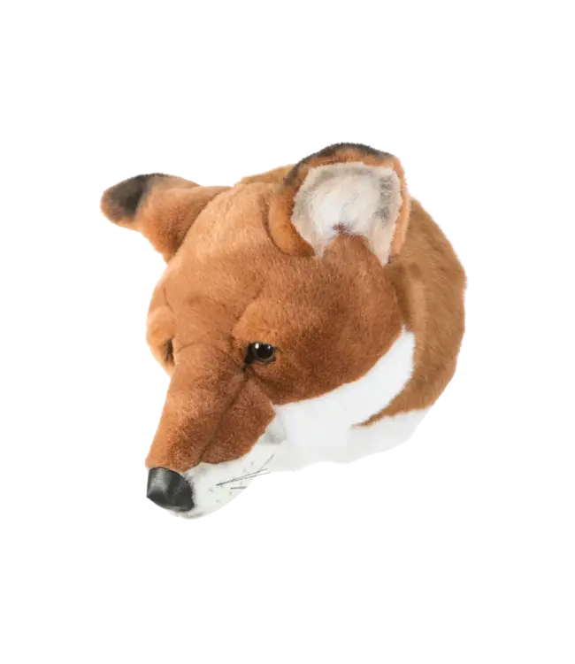 Wild and Soft - Head  Fox Louis