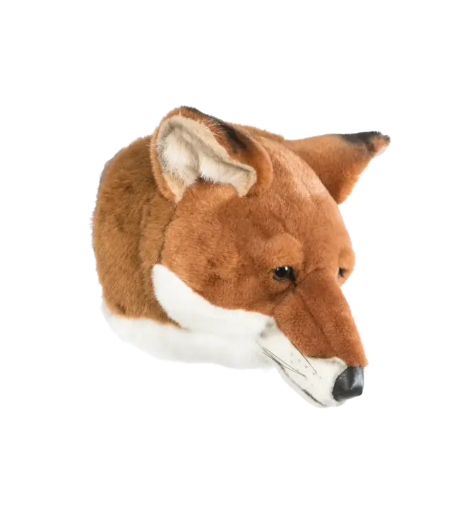 Wild and Soft - Head  Fox Louis