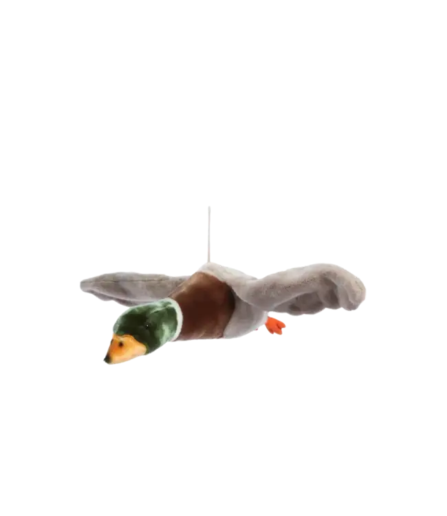 Wild and Soft Wild and Soft - Alain the flying Duck