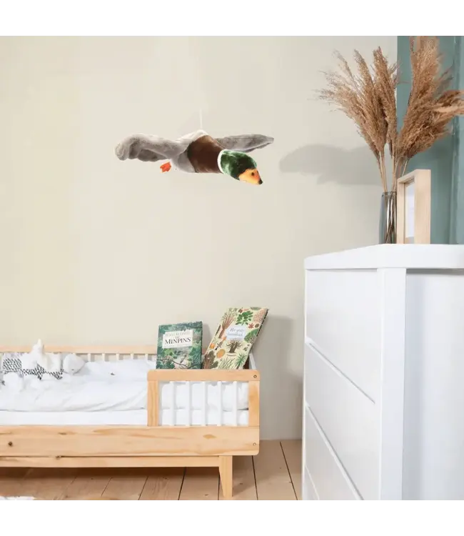 Wild and Soft - Alain the flying Duck