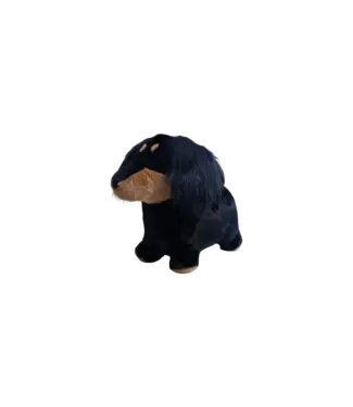 Wild and Soft Wild and Soft - Soft bouncy Sausage dog