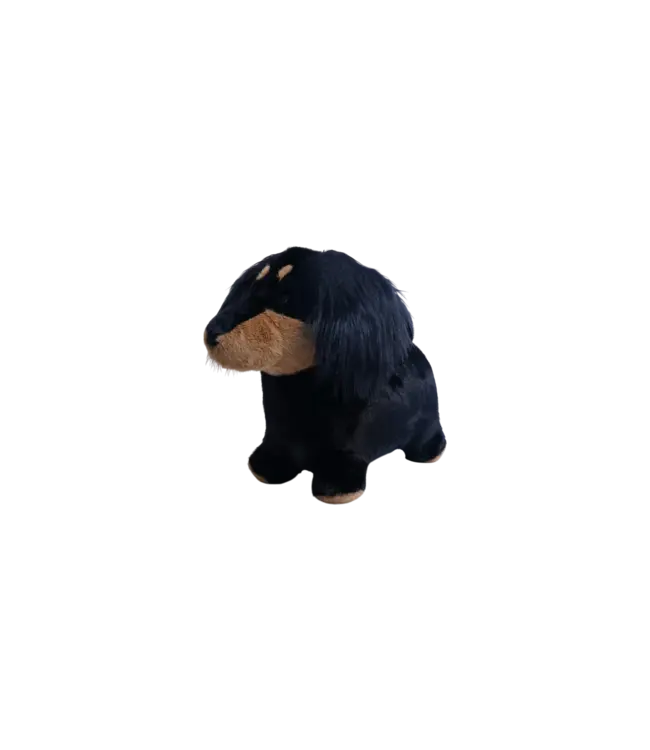 Wild and Soft Wild and Soft - Soft bouncy Sausage dog