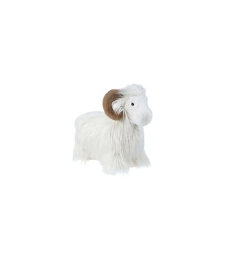 Wild and Soft Wild and Soft - Soft bouncy Ram