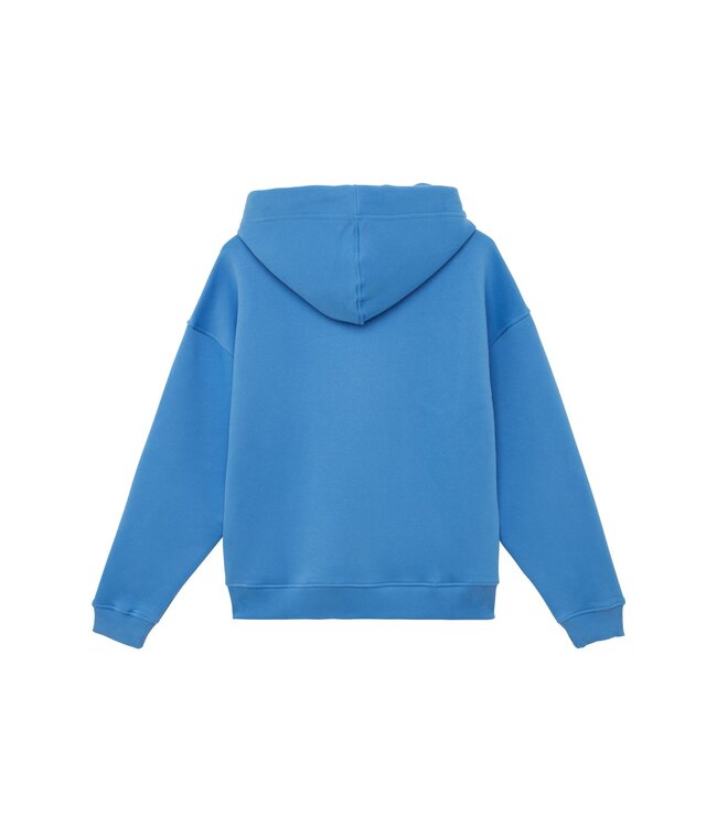 Van One Classic Cars Hoodie FLOWER BULLI cornflower blue