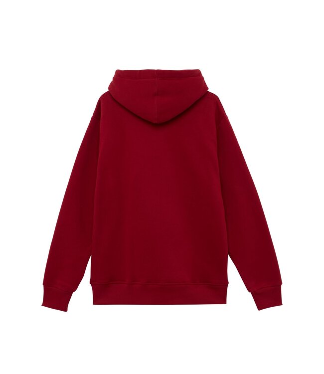 Van One Classic Cars Heren hoodie ORIGINAL RIDE (ww26)