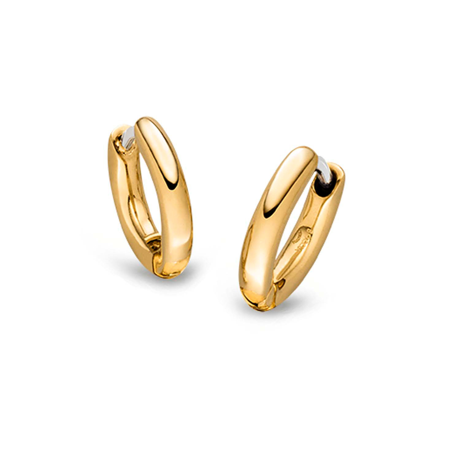 Boccia Titanium Oorringen 05085-02-1