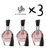 AL WATANIAH 3 X Perfume SHAGAF AL WARD, 100ml