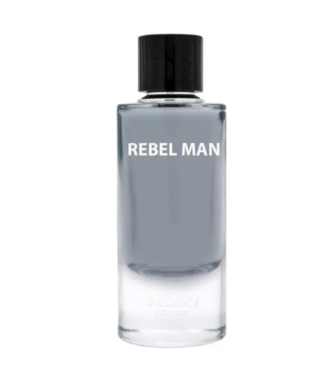 GALAXY Eau De parfum REBEL MAN, Inspired By SAUVAGE, 100ml