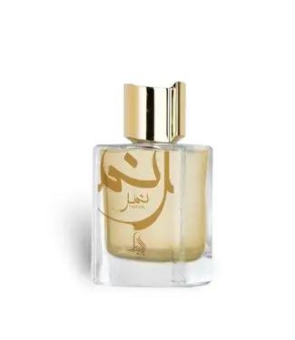 AL ABSAR Eau De Parfum Nimr, 100ml Inspired By Jean Paul Gaultier Ultra Male en Versace Eros