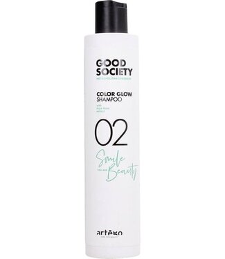 ARTEGO Good Society Rich Color Shampoo 02 - 250ml