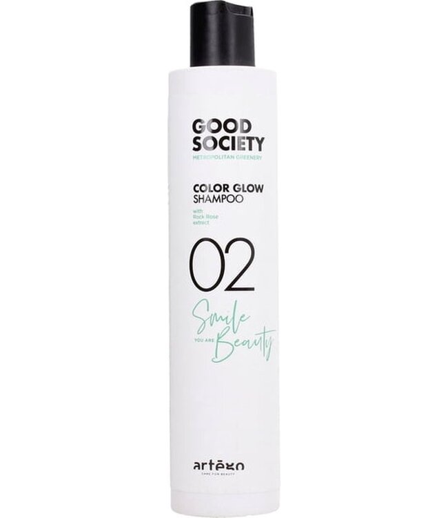 ARTEGO Good Society Rich Color Shampoo 02 - 250ml