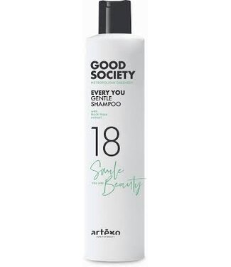 ARTEGO Good Society 18 Every You Gentle Shampoo,  250ml