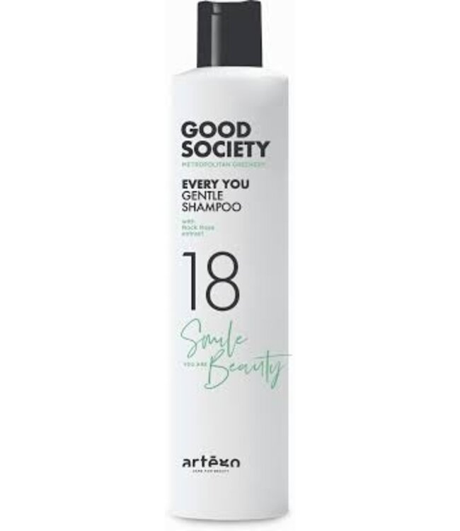 ARTEGO Good Society 18 Every You Gentle Shampoo,  250ml