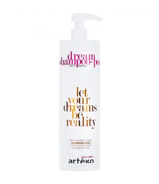 ARTEGO Dream Post-Easy Care T Dream Shampoo 1000ml