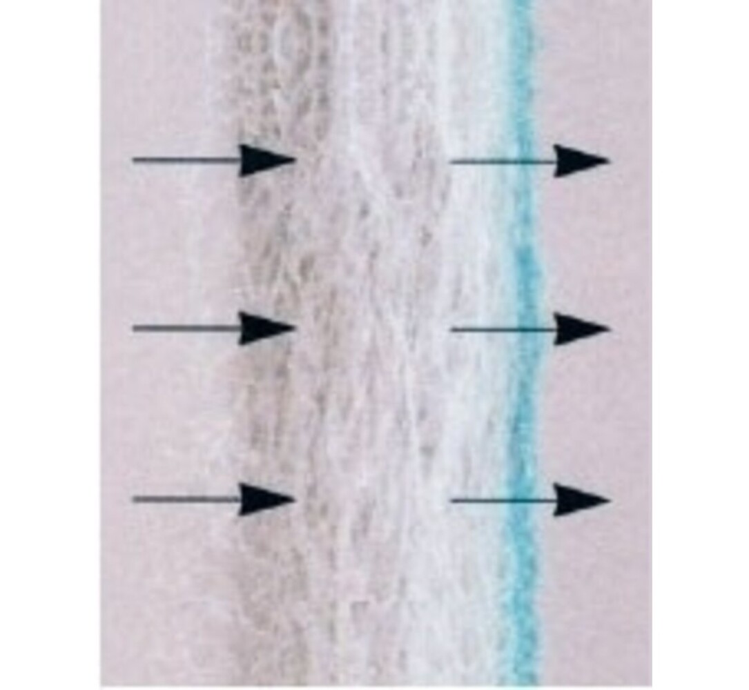 Brink filtershop Brink Elan 10 Duo | electronisch filter | 580705 Brink filtershop Brink Elan 10 Duo | electronisch filter | 580705
