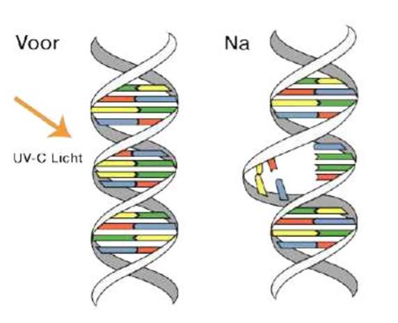 maxvac Luchtreiniger Medi 8 met UV-C technologie maxvac Luchtreiniger Medi 8 met UV-C technologie