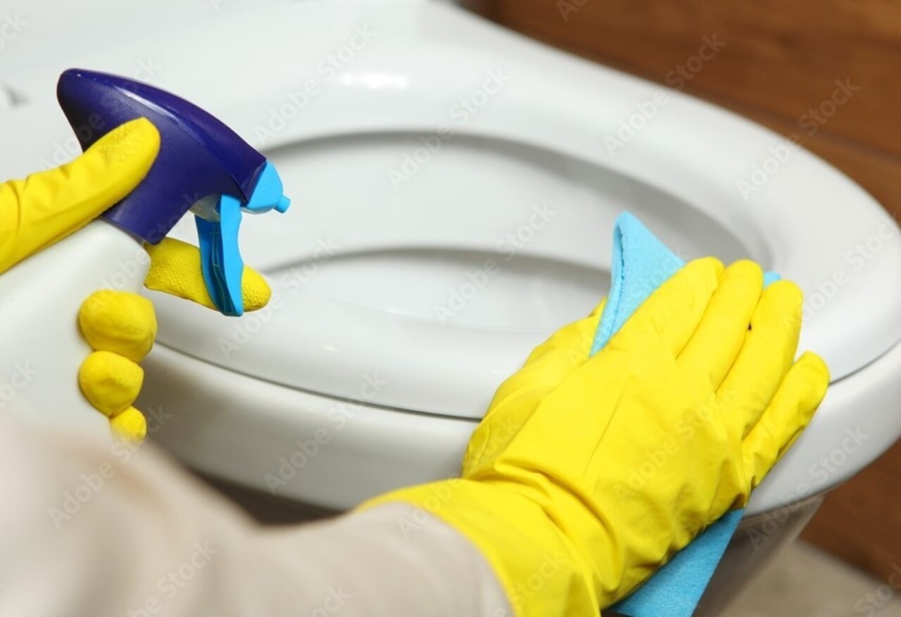 Green XL GreenXL Sanitair Reiniger 1 Liter Green XL GreenXL Sanitair Reiniger 1 Liter