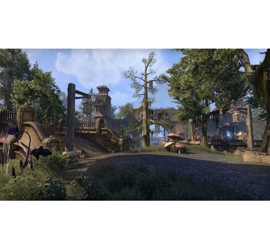 The Elder Scrolls Online:  Morrowind