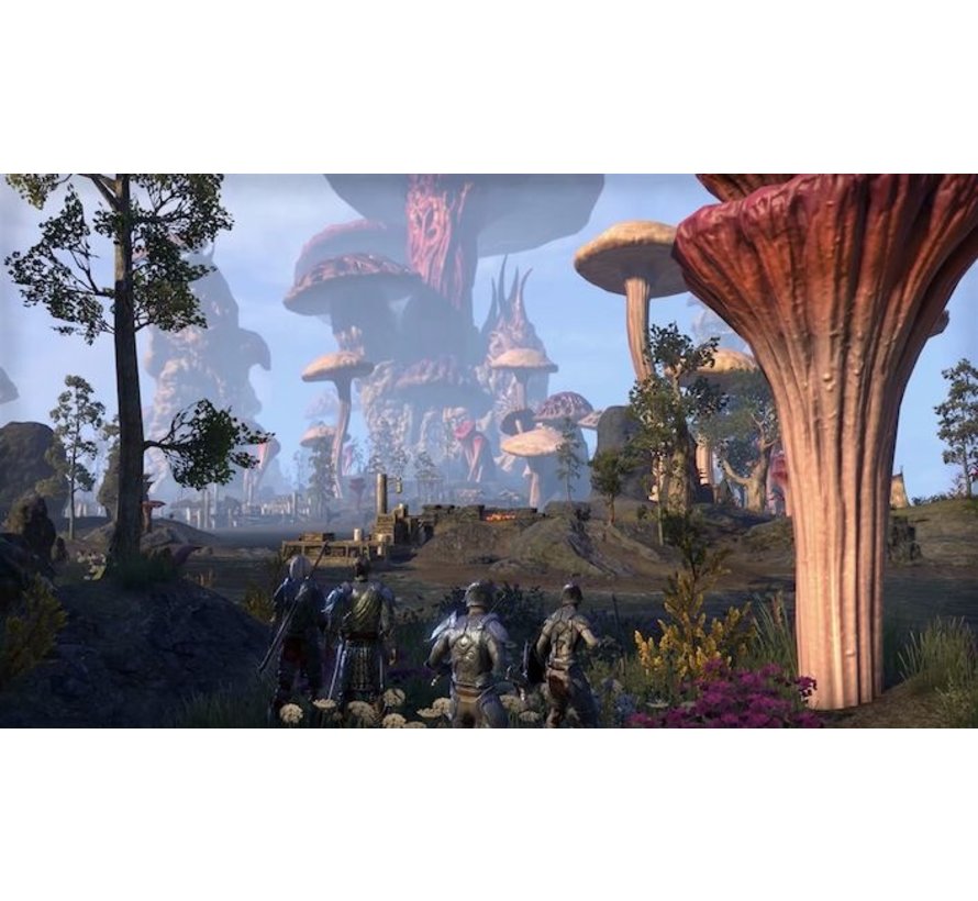 The Elder Scrolls Online:  Morrowind