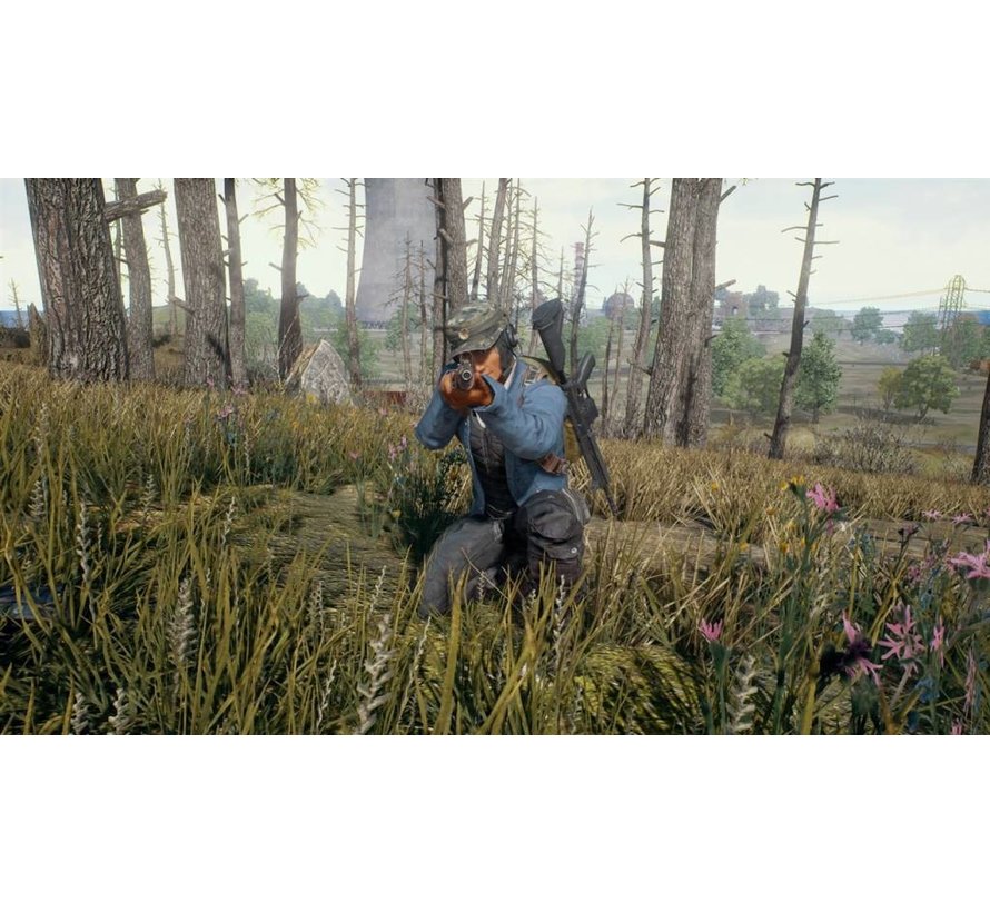 PUBG / PlayerUnknown's Battlegrounds
