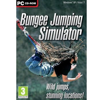 Astragon Entertainment Bungee Jumping Simulator