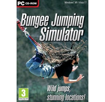UIG Entertainment Bungee Jumping Simulator