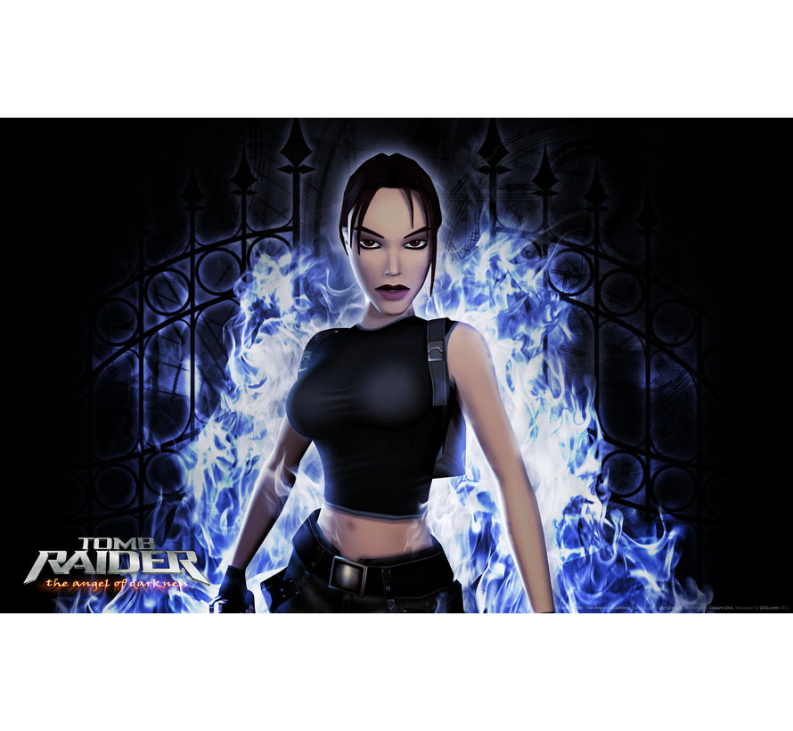 Lara Croft Tomb Raider The Angel of Darkness (gebruikt)