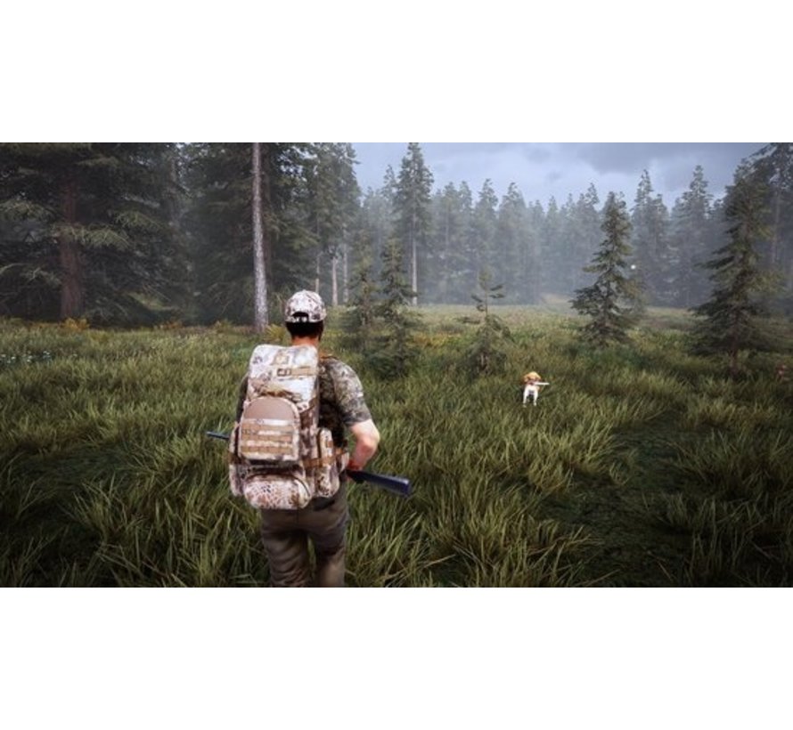 Hunting Simulator