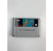 Broderbund SNES - Prince of Persia 2
