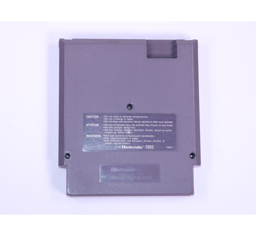 NES - Dragon's Lair the Legend