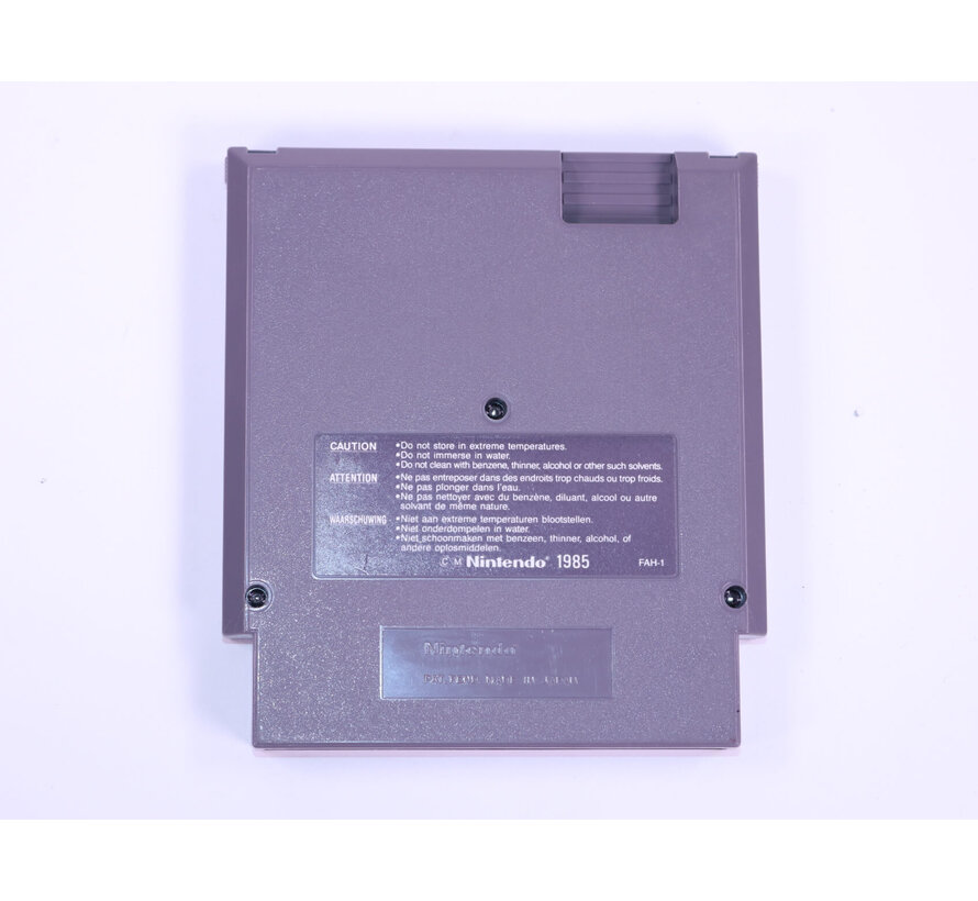 NES - Iron Sword Wizards and Warriors II / Ironsword Wizard and Warriors 2