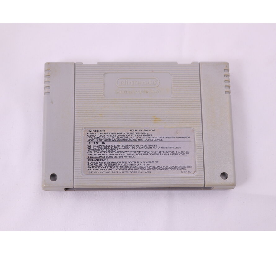 SNES - King Arthur's World