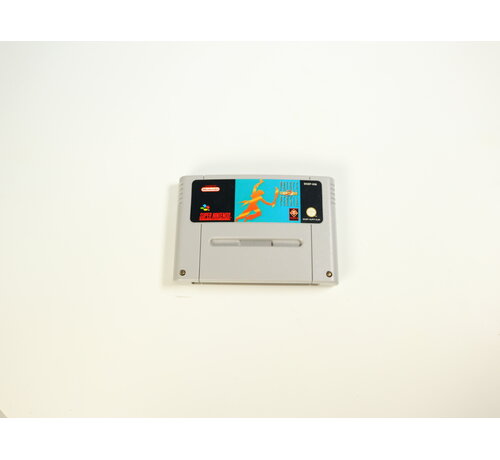 Broderbund SNES - Prince of Persia 2